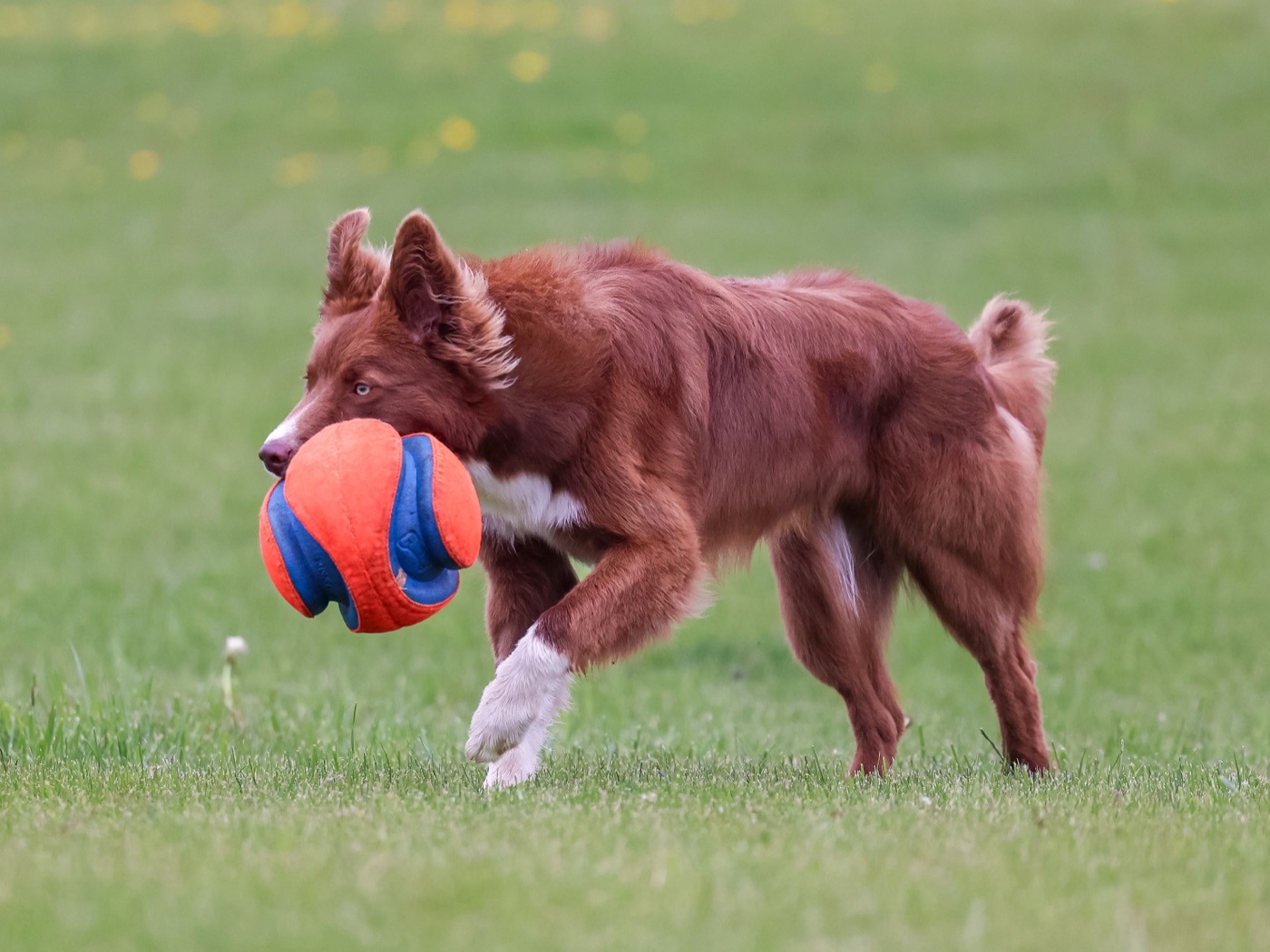 PEIFOTOSHOP — Berkley · The catch
