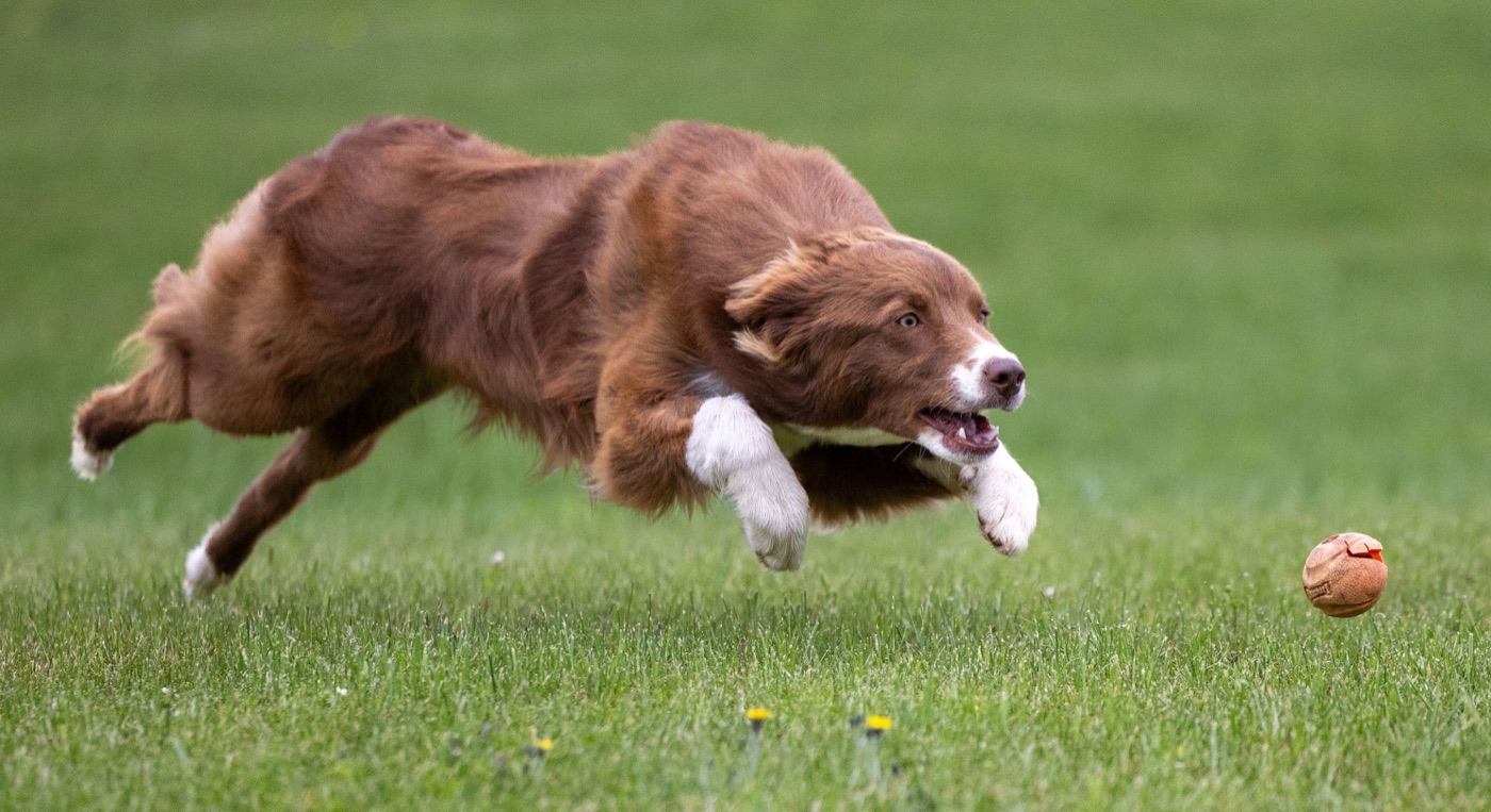 PEIFOTOSHOP — Berkley · Mid-flight